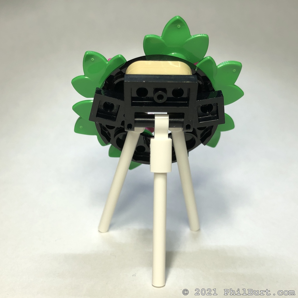 [20211111-06.JPG]